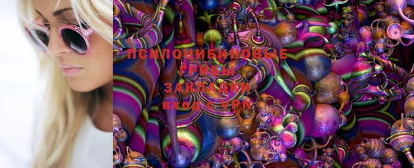 PSILOCYBIN Арсеньев