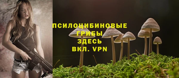 тгк Армянск