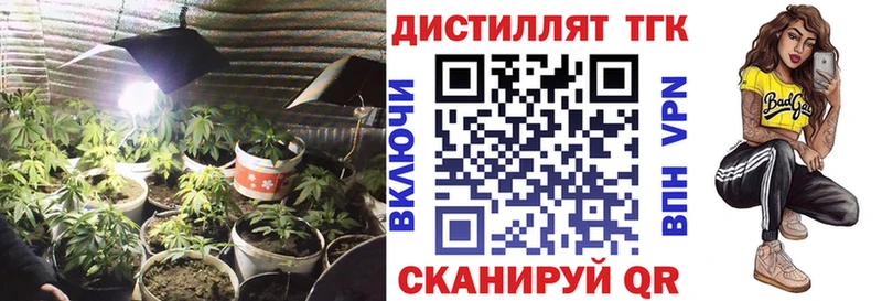 ТГК концентрат Новокубанск