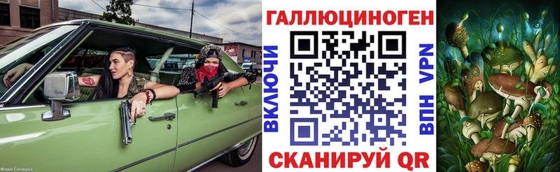Псилоцибиновые грибы Psilocybe  Новокубанск 